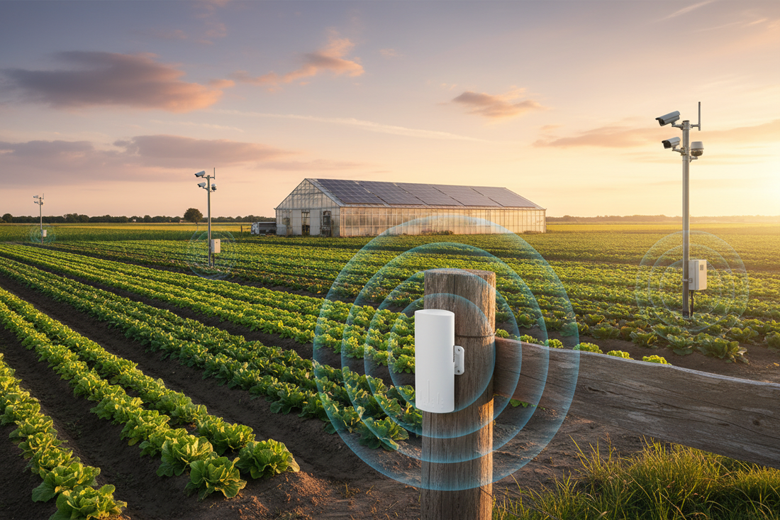 The Best Outdoor WiFi 6 Access Point in 2026? We Tested the Chaneve AX1800/AX3000